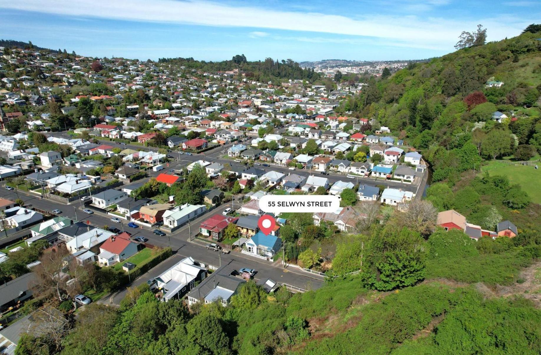 In Dunedin'S Heart, Full House, Full Sun, Full Chill, Why Stay At A Hotel When You Can Afford An Entire House المظهر الخارجي الصورة
